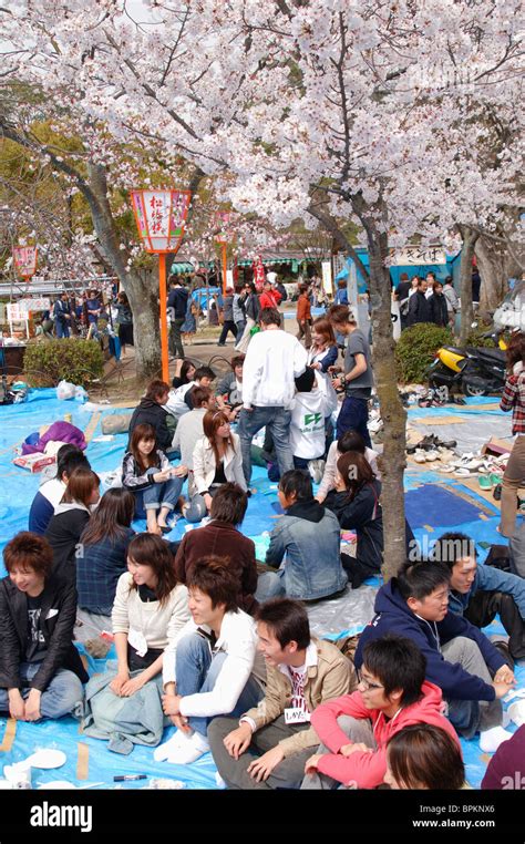 Maruyama Park, Kyoto, Japan Stock Photo - Alamy