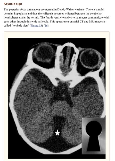 Pediatric Radiology, Pediatrics