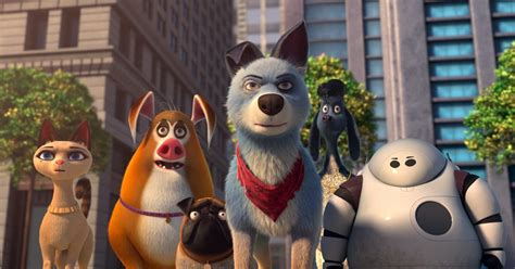 13 Best Animal Movies on Netflix for Animal Lovers