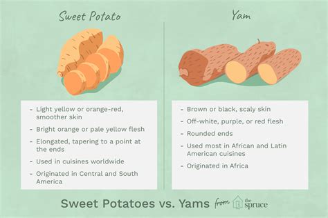 Difference Between A Yam And A Sweet Potato Nutrition – Runners High ...