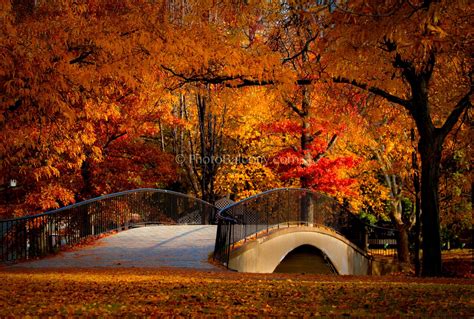 Autumn Photography | Wallpapers Gallery