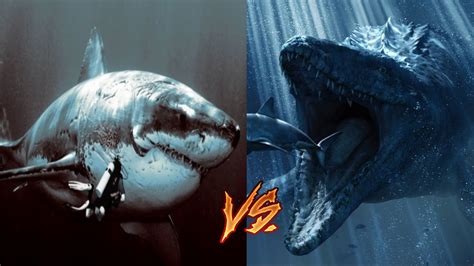 42+ Megalodon Vs Kraken Movie Gif – All in Here