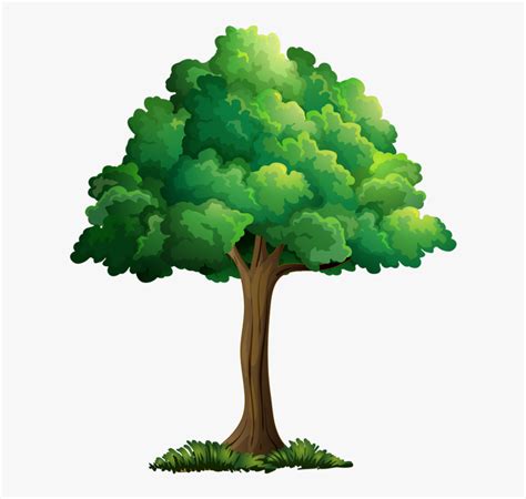 Transparent Plant Cartoon Png - Realistic Tree Cartoon Drawing, Png Download - kindpng