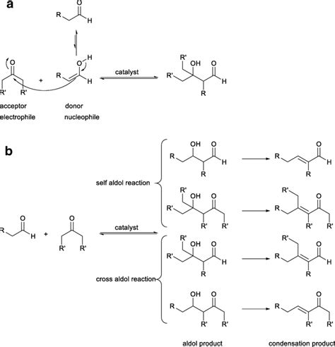 a, b The aldol reaction is very versatile but at the same time, a lack... | Download Scientific ...