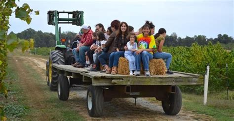 Fall Hayride Tour & Tasting - Crow Vineyard & Winery