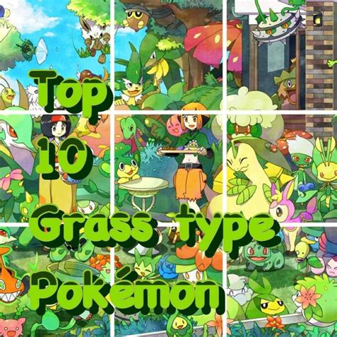 Top #10 favorite grass type pokemon | Pokémon Amino