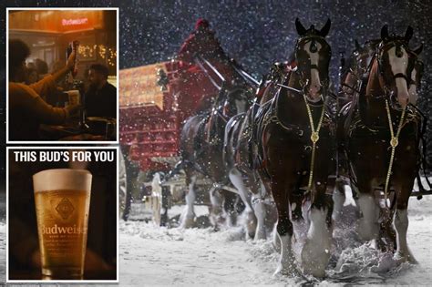 The Budweiser Clydesdales make a triumphant return in their Super Bowl ...