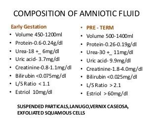 Amniotic Fluid | Definition, Composition, and Function