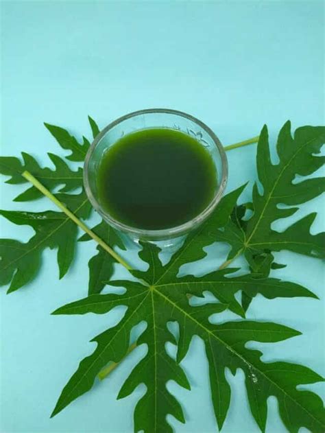 Papaya Leaf Juice: A Natural Boost for Blood Platelets and Overall Health