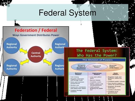 Political and Economic Systems - ppt download