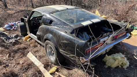 Evakuierung Wirksam Künstlich mustang shelby gt500 1967 Abkürzen ...