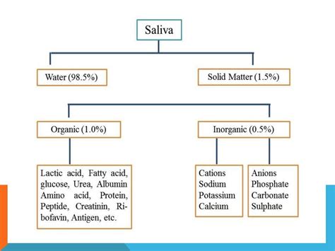 Composition of saliva