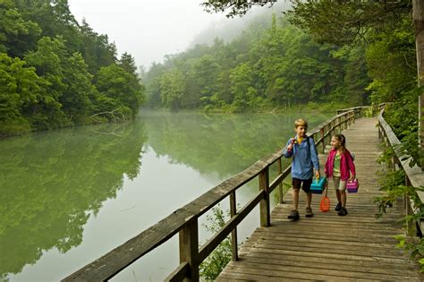 out & about mountain view arkansas summer 2015 — Arkansas Wild