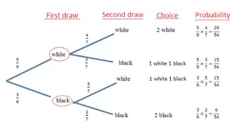 Tree Diagram in Probability Theory with Example