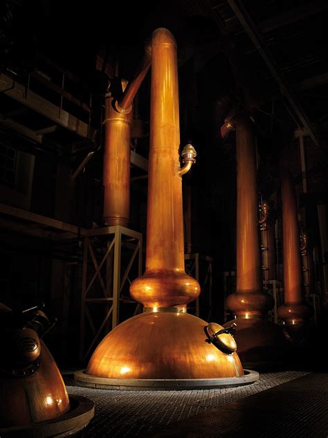 Glenmorangie Distillery Introduces 41 Year Old, $9k Scotch Whisky ...