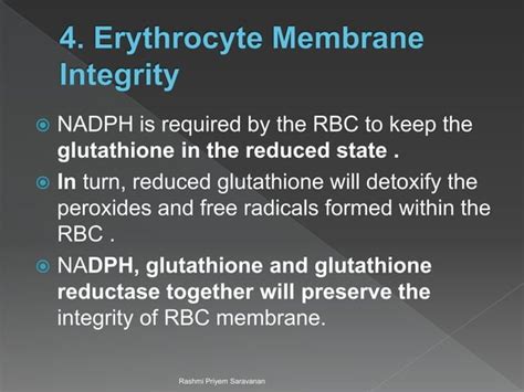 Significance of HMP Pathway