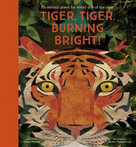 Tiger, Tiger, Burning Bright - Nosy Crow