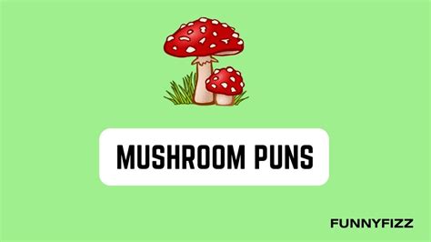 80 Mushroom Puns