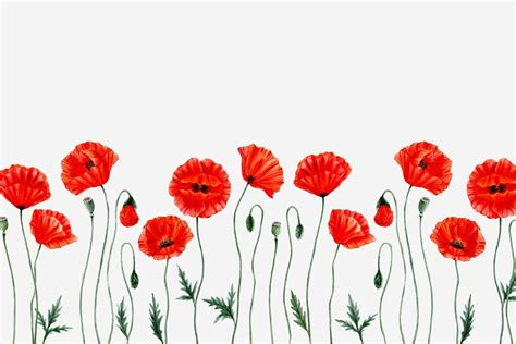 POPPY- clip art. | Poppy flower painting, Poppy art, Watercolor poppies