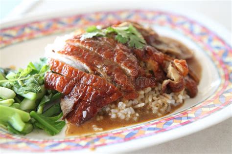 Roast duck over rice stock photo. Image of delicious - 141583646