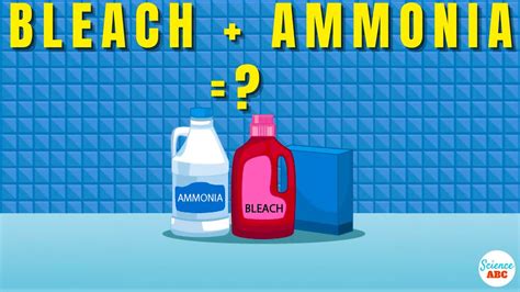 Difference Between Ammonia And Bleach Compare The, 42% OFF