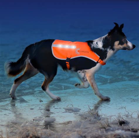 Reflective LED Dog Safety Vest - Illumiseen