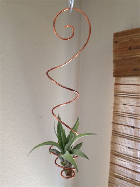 Air Plant Holder / Hanging Air Plant Holder / Air Plant | Etsy | Air plants decor, Hanging air ...