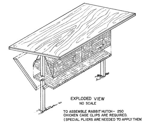 50 DIY Rabbit Hutch Plans to Get You Started Keeping Rabbits