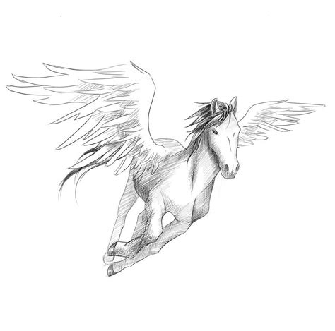 Draw a Pegasus | Freelancer