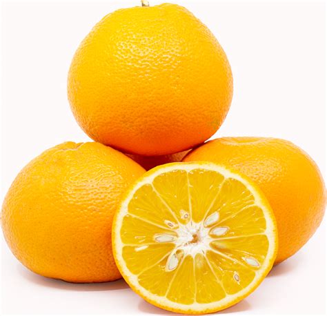 Navel Oranges Information and Facts