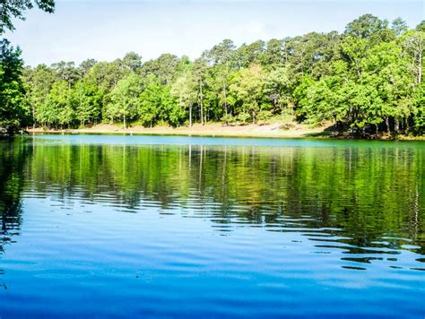 Cliffs of the Neuse State Park, North Carolina