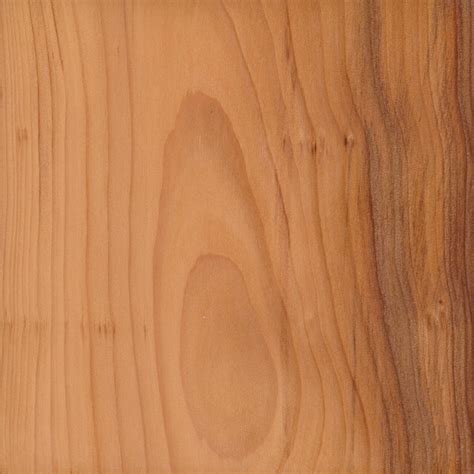 European Yew | The Wood Database - Lumber Identification (Softwood)