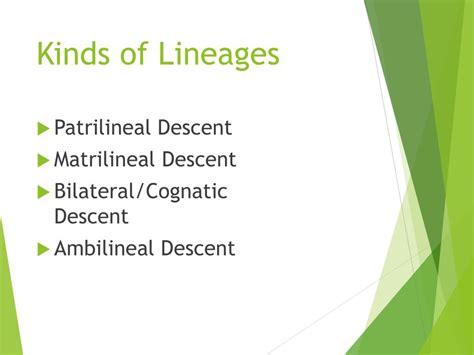 PPT - Lineage and Descent PowerPoint Presentation, free download - ID ...