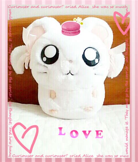 Hamtaro: Bijou Plushie! by ChaeKkyung on DeviantArt