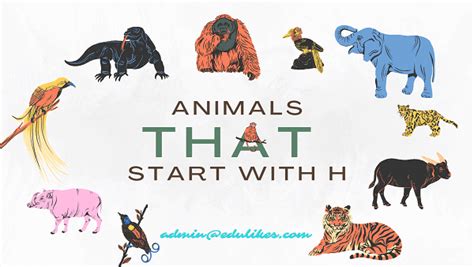 Animals That Start with H | Interesting Facts with Pictures