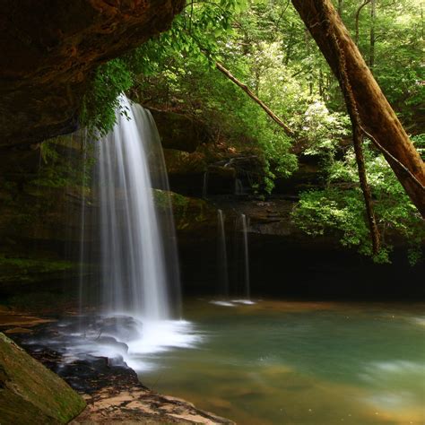 Exploring Bankhead National Forest: The Land Of 1,000 Waterfalls ...