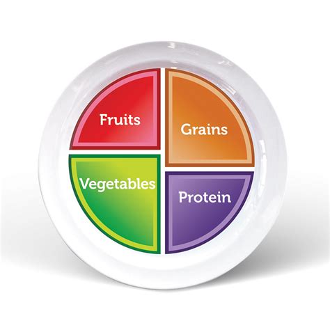 Amazon.com: Diabetic Portion Plate: Health & Personal Care