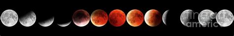 Red Moon Phases Photograph by Benny Marty - Fine Art America