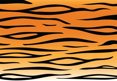 Tiger Stripe Pattern 183347 Vector Art at Vecteezy