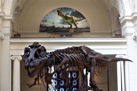 World's most complete T-rex skeleton shows some skin in a new life-like display | SYFY WIRE