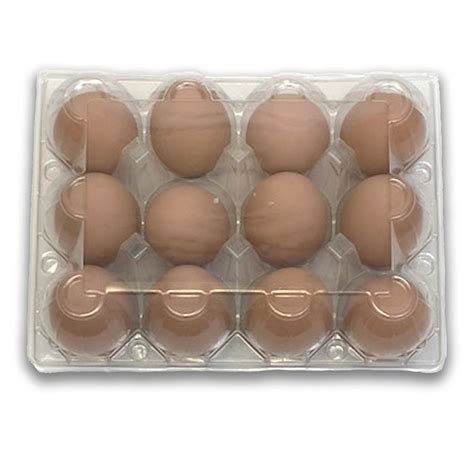 Vintage Egg Carton | Plastic Un-Labeled – EggCartons.Com