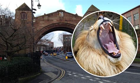 Animals to be released into Chester in event of closure – confirms Chester Zoo - The Chester Bugle