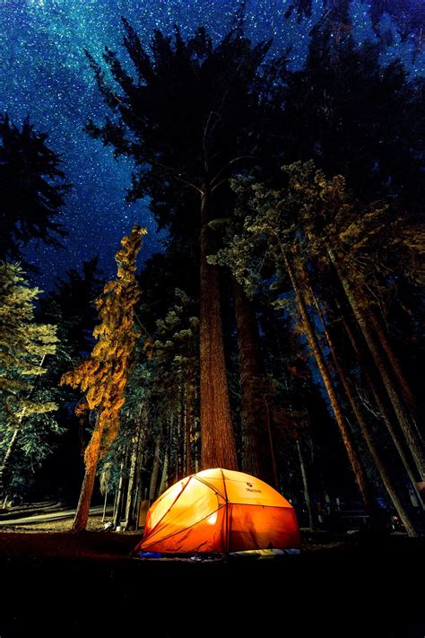 Camping Night Wallpapers - Top Free Camping Night Backgrounds ...