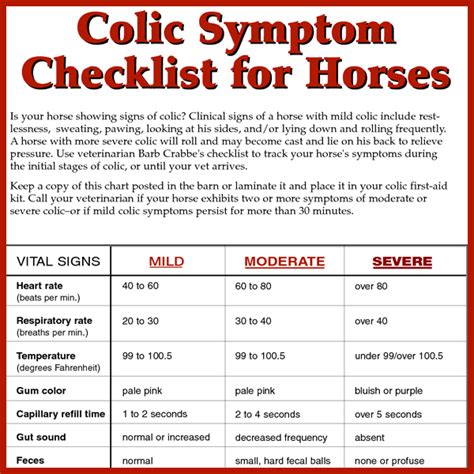 Colic Symptoms Checklist for Horses - KPP in 2024 | Healthy horses, Horse colic, Horse health