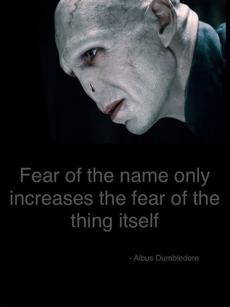 Voldemort Albus Dumbledore, Voldemort, Fear, Harry Potter, Names ...