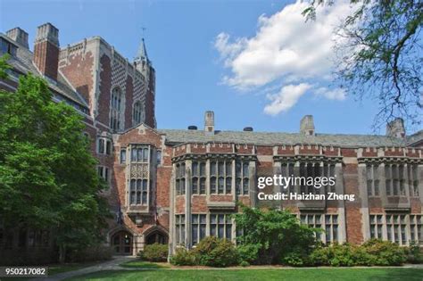 461 Yale University Colors Stock Photos, High-Res Pictures, and Images ...