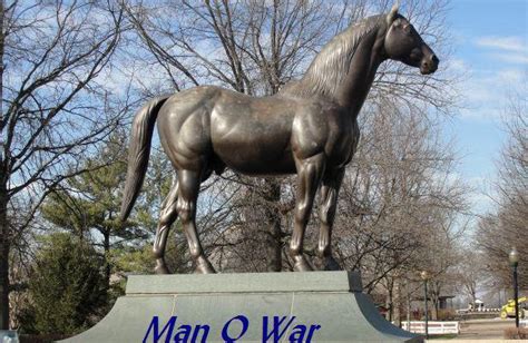 Man o' War to be honored throughout the year at Kentucky Horse Park ...