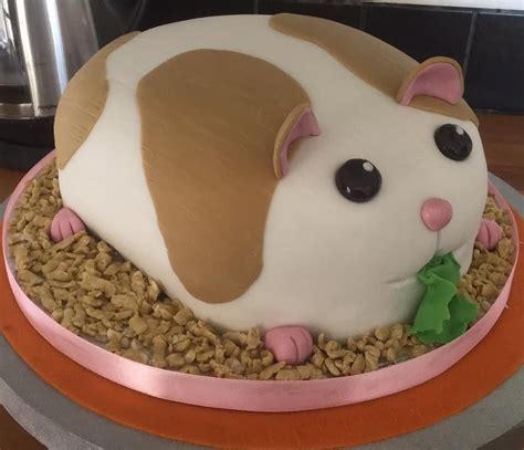 Hamster cake by Tina Feakins. For more animal themed cake ideas, please visit https://www.craftc ...