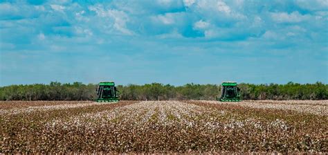 Two harvesters come across a cotton | Free Photo - rawpixel