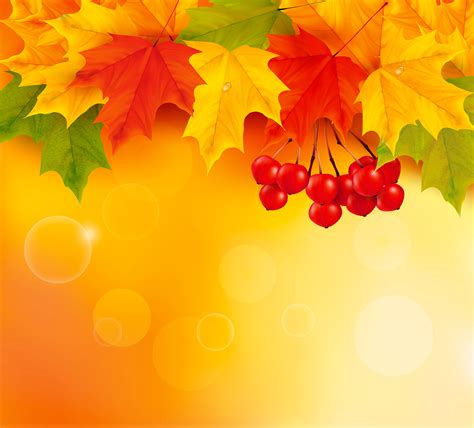 Orange Fall Leaves Background | Gallery Yopriceville - High-Quality Images and Transparent PNG ...